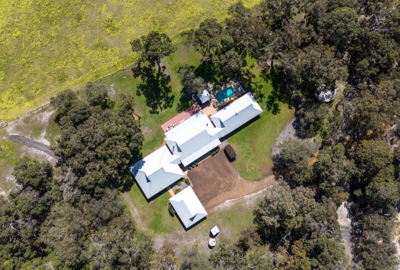 forest rise lodge aerial view