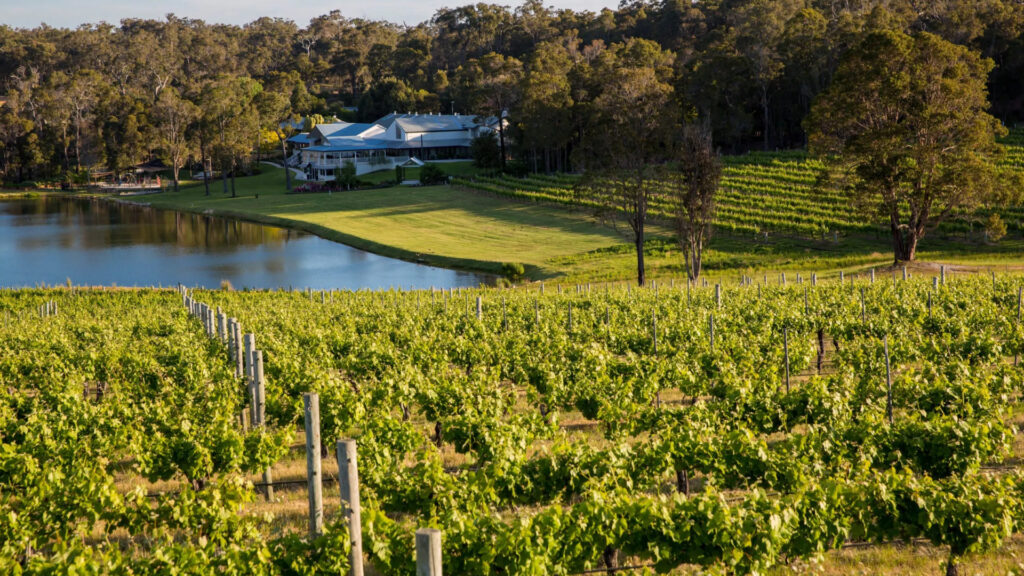 10 Of The Most Popular Wineries in Margaret River