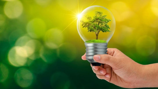 Green lightbulb sustainability